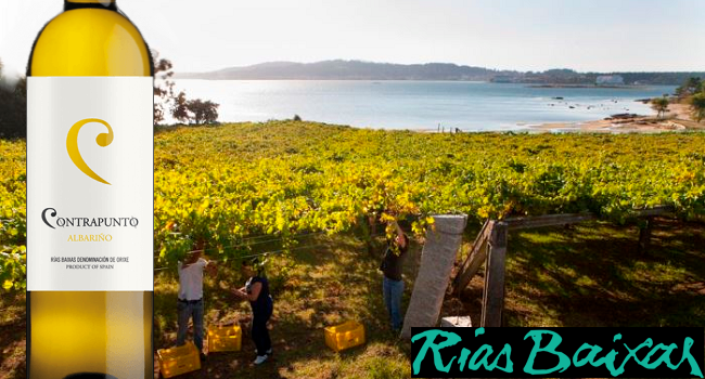 Win Six Bottles of Contrapunto Albarino from O'Briens Wines to Celebrate Rias Baixas Week