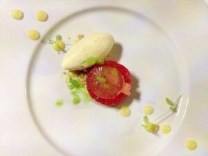 Delphi Resort Watermelon, Lime Vanilla Ice-Cream