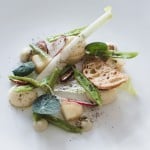 BANG In Season Farm salad
