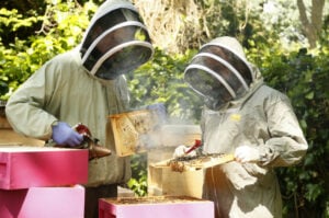 Dublin Honey Project