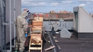 Dublin Honey Project