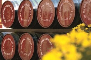 Bushmills Distillery