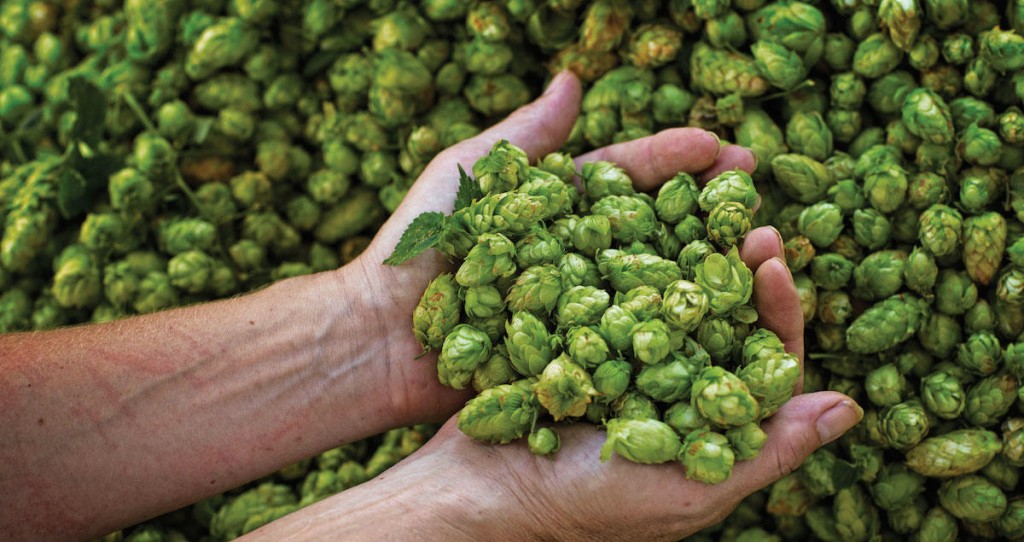 Northern Ireland Brewing and Distilling