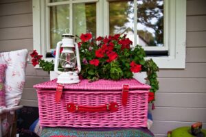 The Ultimate Guide to Glamping in Ireland Teapot Lane