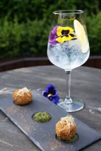 Irish Gin and Tonic Fest 2016