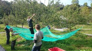 The Ultimate Guide to Glamping in Ireland Pink Apple Orchard