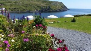 The Ultimate Guide to Glamping in Ireland Chléire Haven