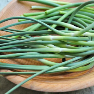 Drummond House Garlic