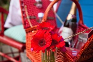 The Ultimate Guide to Glamping in Ireland Teapot Lane