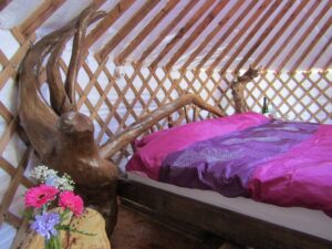 The Ultimate Guide to Glamping in Ireland Pink Apple Orchard