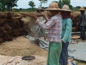Oiling the Seeds of Progress - The Bayin Foods Story