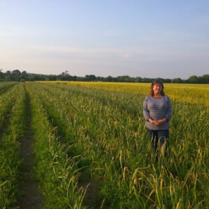 Drummond House Garlic