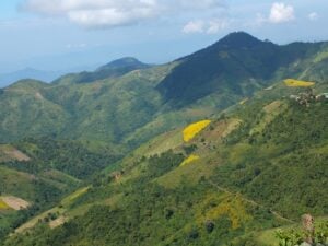 Oiling the Seeds of Progress - The Bayin Foods Story