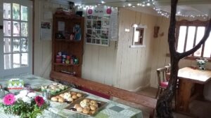 The Ultimate Guide to Glamping in Ireland Pink Apple Orchard