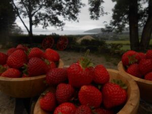 The Ultimate Guide to Glamping in Ireland Portsalon Luxury Camping