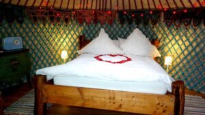 The Ultimate Guide to Glamping in Ireland Kinsale