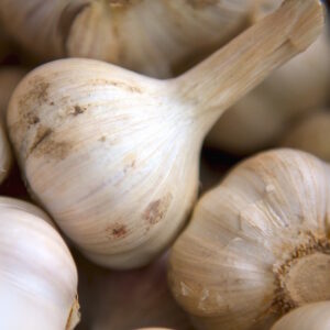 Drummond House Garlic