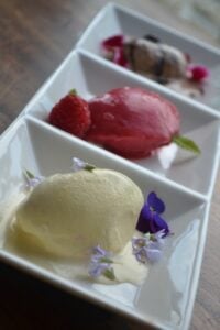 my nutrition ice cream 2