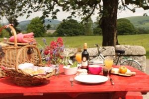 The Ultimate Guide to Glamping in Ireland The Old Forge