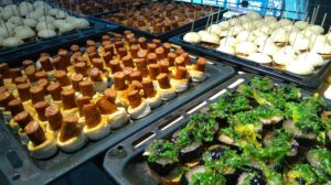 Bizkaia, and Experiential Destination in the Basque Country