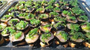 Bizkaia, and Experiential Destination in the Basque Country