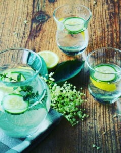 Elderflower Cordial Recipe by Shane Smith