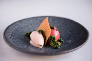 Sukí Red Berry Tea Cake with Rhubarb Sorbet and Iced Sorrel Recipe by Chef Danni Barry
