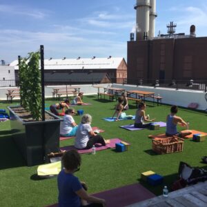 Brooklyn's Rooftop Vineyard Challenges the Concept of Terroir