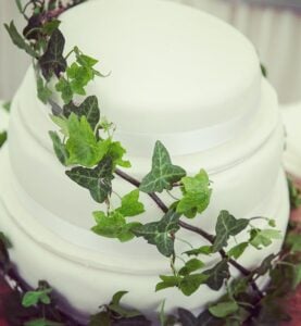 Catherine Allen Wedding Clonabreany house