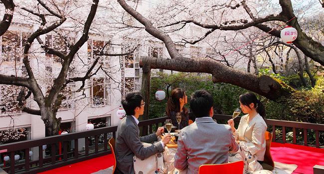 Japanese Wines: A Taste from the Terroir of the Rising Sun