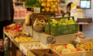 Avoca