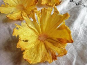 Pineapple Flower Pineapple & Passion Fruit Pavlova Recipe by Niamh Mannion