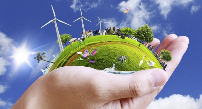 Applications Open for the Irish Food Writers' Guild Social Responsibility Award