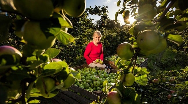 Armagh Cider Company