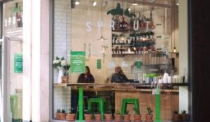 Sprout & Co Dawson Street