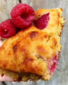 high protein berry cake