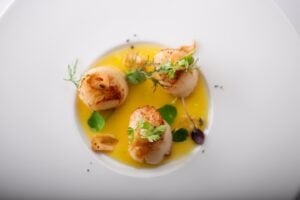 Wine Agenda: Rinuccini Launches Taste of Tuscany Wine Pairing Event