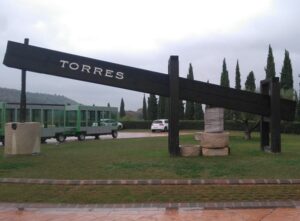 The Future Pours the Past: How Torres Mas La Plana Passes the Taste of Time