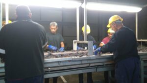 The Future Pours the Past: How Torres Mas La Plana Passes the Taste of Time