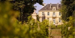Yann Schÿler on Finding the Purest Style of Margaux at Chateau Kirwan
