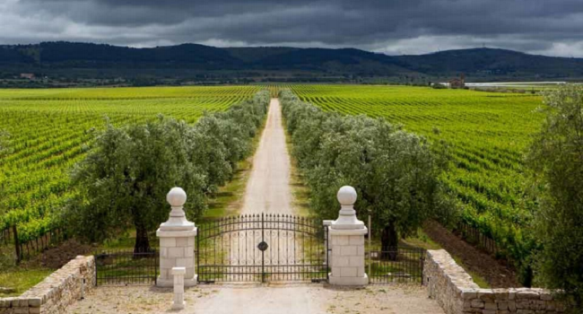 Puglia Wines Change is afoot in Italy Get a kick out of Puglia’s rich reds