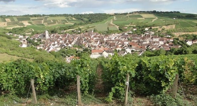 Cité des Vins de Bourgogne: Burgundy's Ambitious Network of Museums Gets Green Light