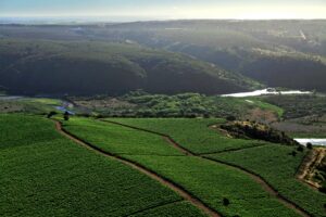Viña Leyda: The Winery that Literally Put Chile's Leyda Valley on the Map