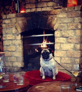 Tails will be Wagged for the Best Dog Friendly Restaurants in Dublin 4