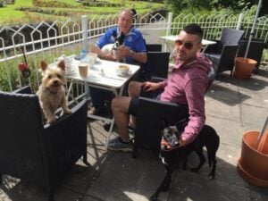 Tails will be Wagged for the Best Dog Friendly Restaurants in Dublin 4