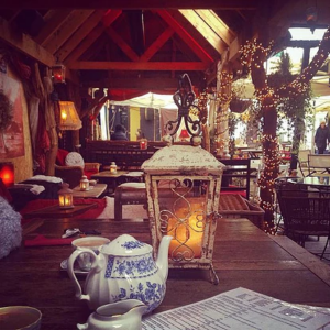 Tails will be Wagged for the Best Dog Friendly Restaurants in Dublin 4