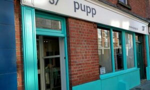 Tails will be Wagged for the Best Dog Friendly Restaurants in Dublin