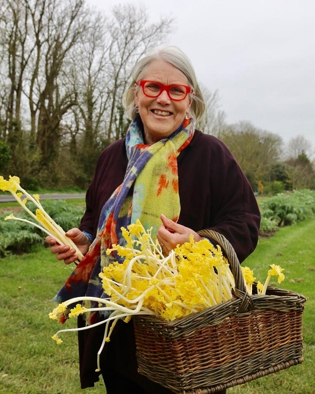 Darina Allen. photo by Daniel Callen TheTaste.ie