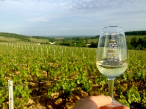 Burgundy Wines by Liam