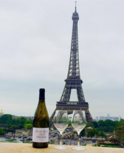 Burgundy Wines by Liam